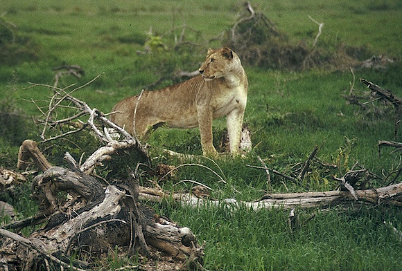 FH000034.jpg