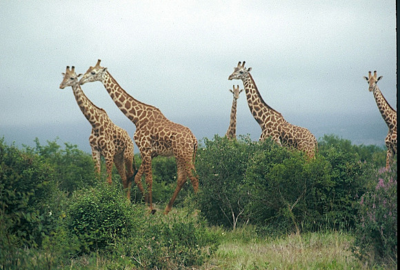 FH000017.jpg