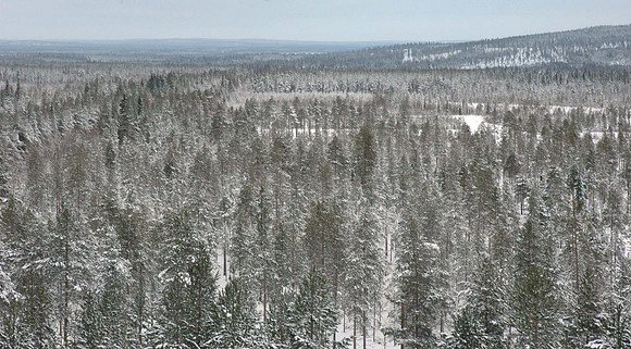 DSC_0160.JPG