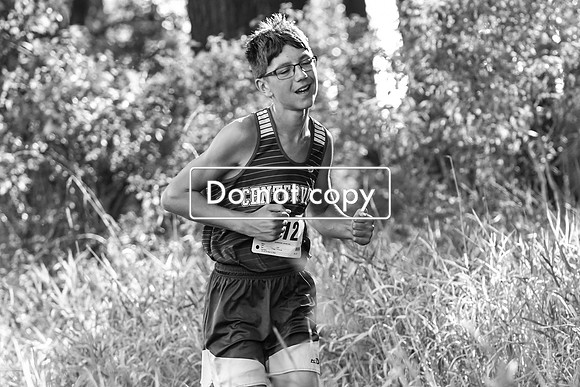GEN_8994