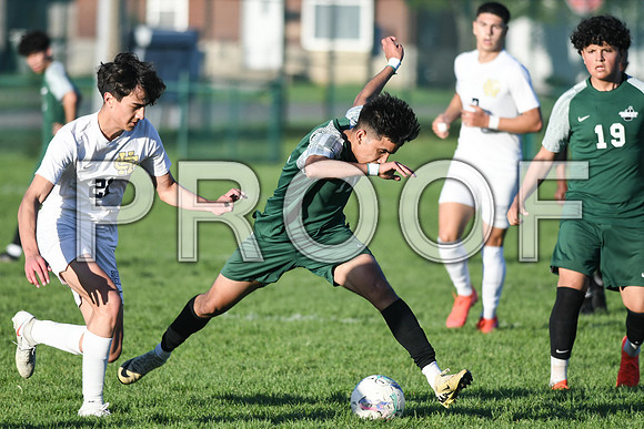DSC_7684