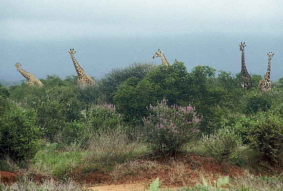 FH000024.jpg