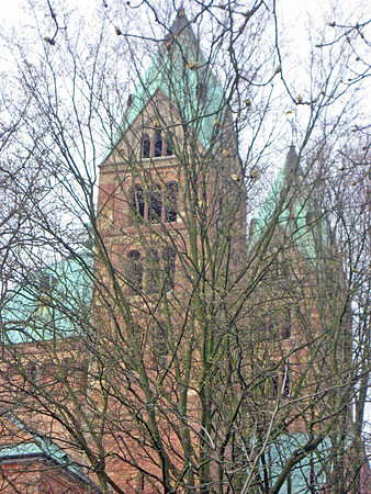 IMG_8094