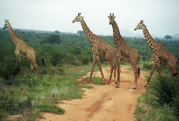 FH000018.jpg