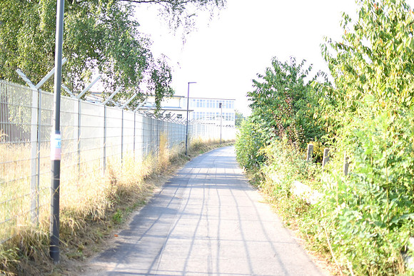 GEN_8784
