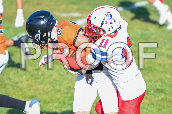 GAG_7228