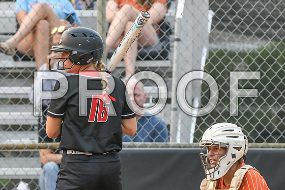 GAG_3346