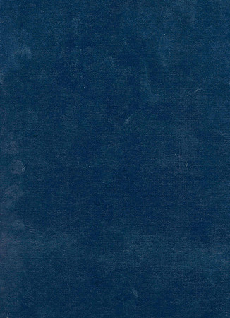Image 1 (3)