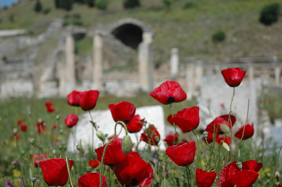 07-04-12-15Turkey,Izmir 053.jpg