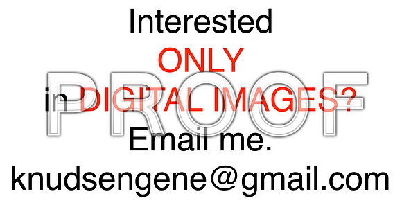 DIGITAL IMAGES?
