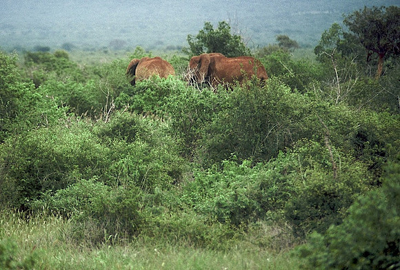 FH000025.jpg