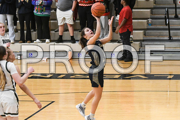 GAG_2500