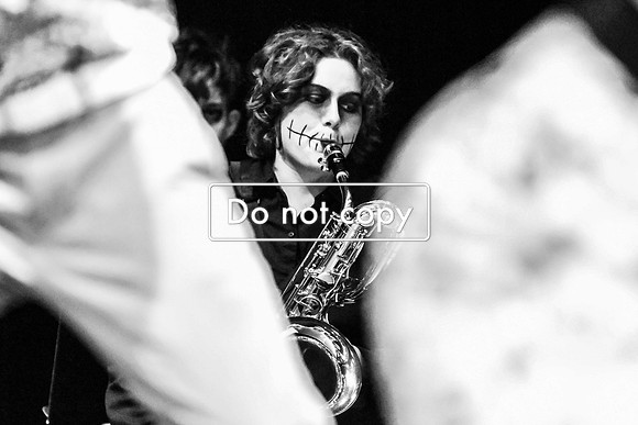 GAG_2591