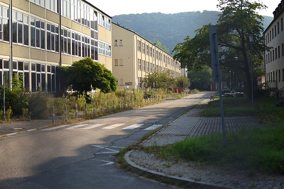 GEN_8803