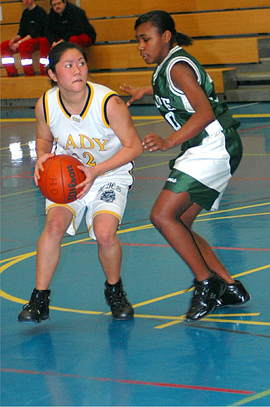 SHAPEBball14Jan 076