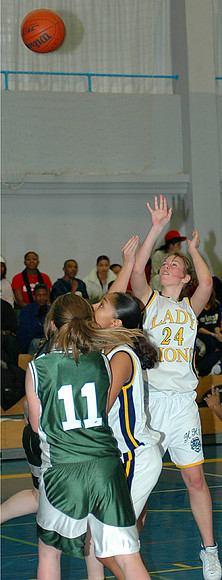 SHAPEBball14Jan 061