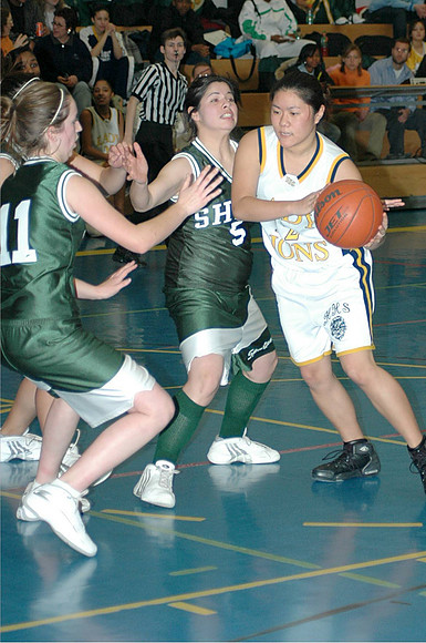 SHAPEBball14Jan 074