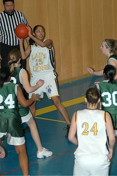 SHAPEBball14Jan 038