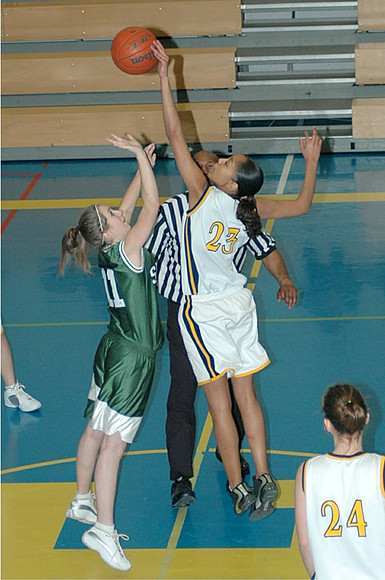 SHAPEBball14Jan 035