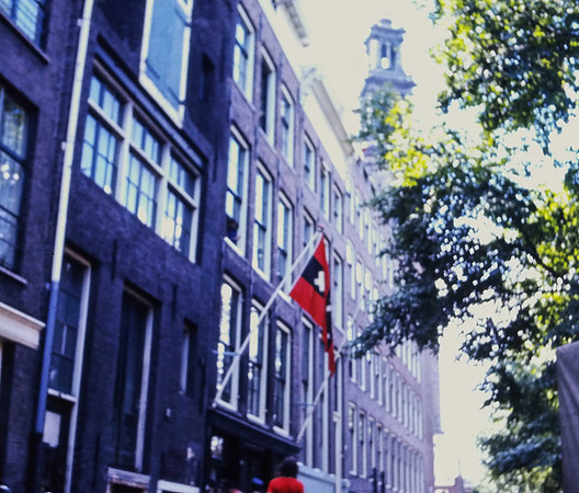 IMAG0164-2