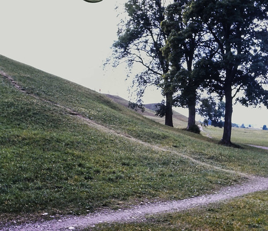 IMAG0237-2