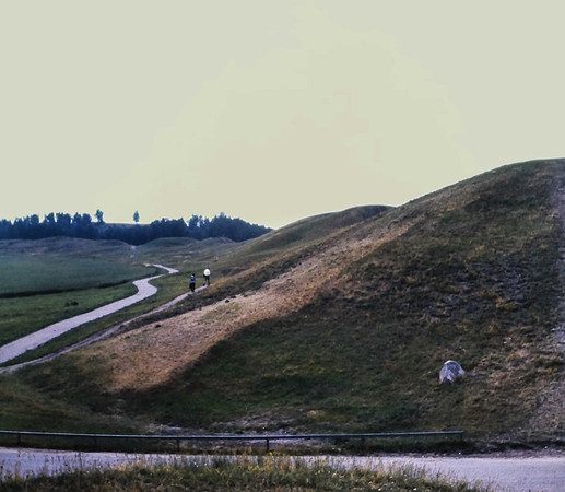 IMAG0238-2