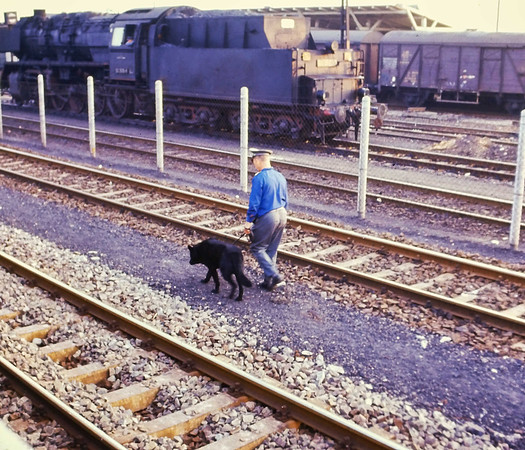 IMAG0151-3