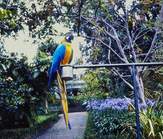 IMAG0045