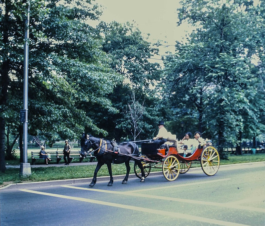 IMAG0010