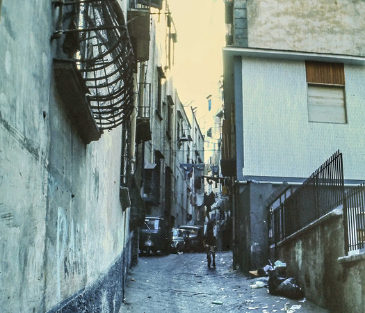 IMAG0065