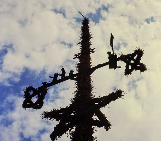 IMAG0226-2