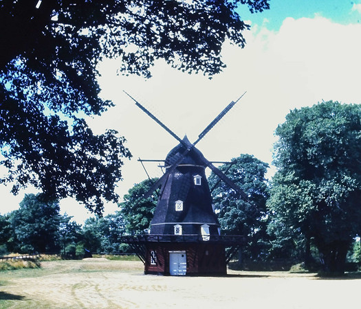 IMAG0181-2
