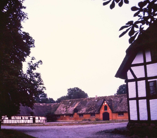 IMAG0275