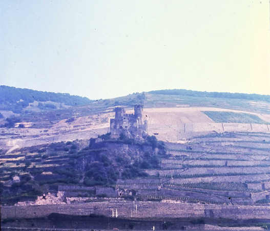 IMAG0142-3