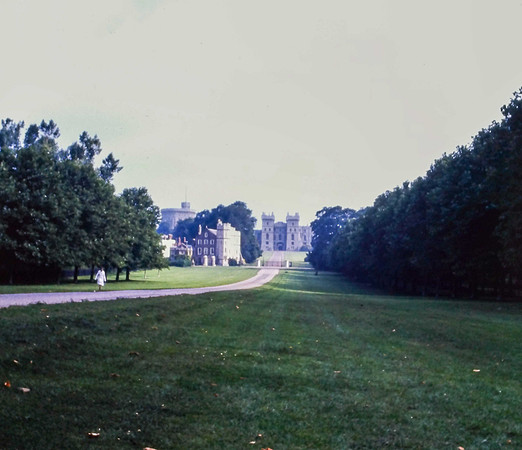 IMAG0359