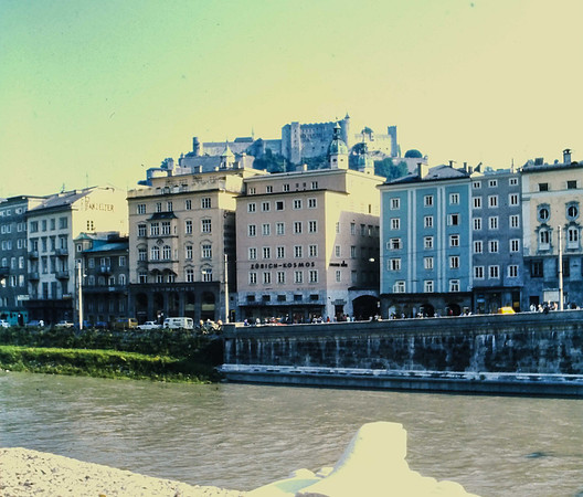 IMAG0040-3