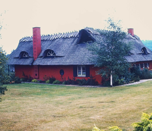 IMAG0259