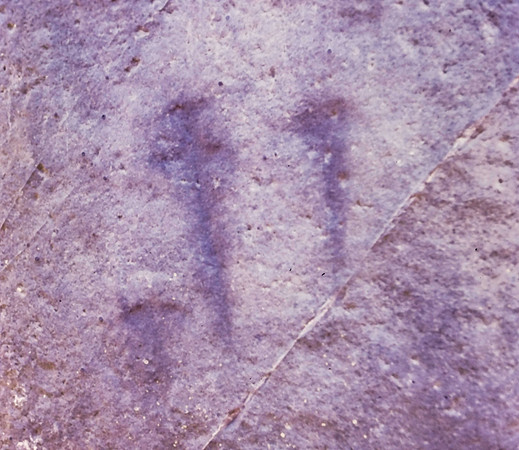IMAG0387