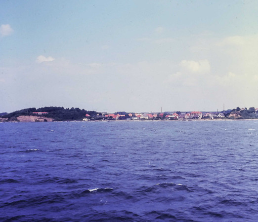 IMAG0256