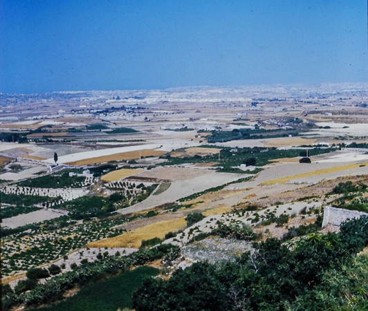 IMAG0029-2