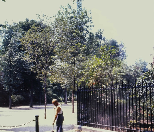 IMAG0111-3