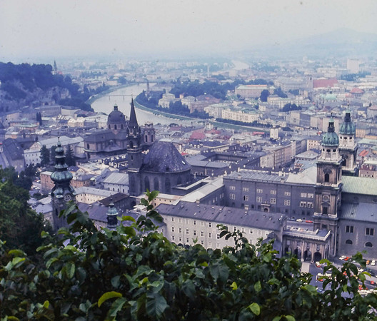 IMAG0044-3