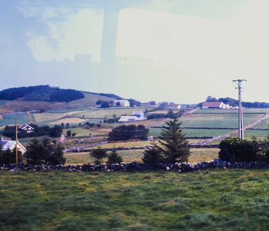 IMAG0253