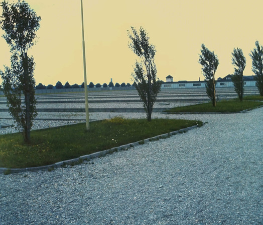 IMAG0061-2