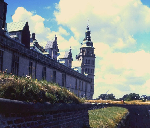 IMAG0202-2