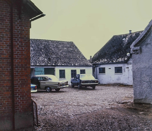 IMAG0265