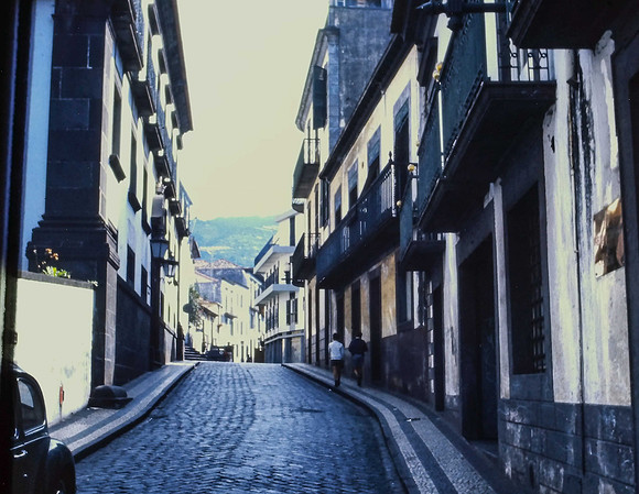 IMAG0044