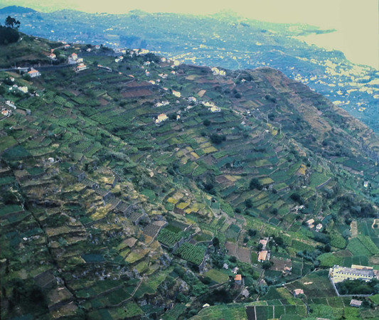 IMAG0052