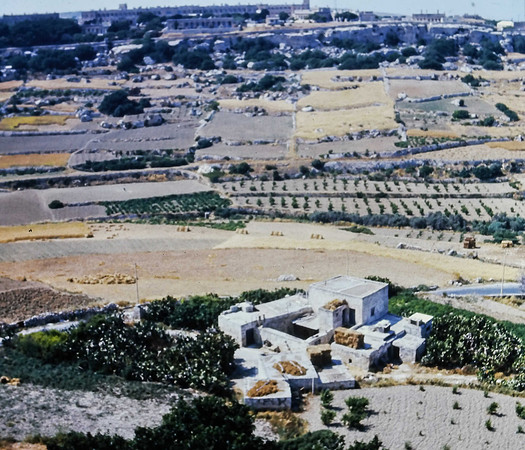 IMAG0030-2