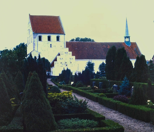 IMAG0260